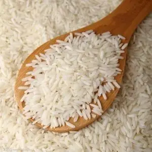 Rice